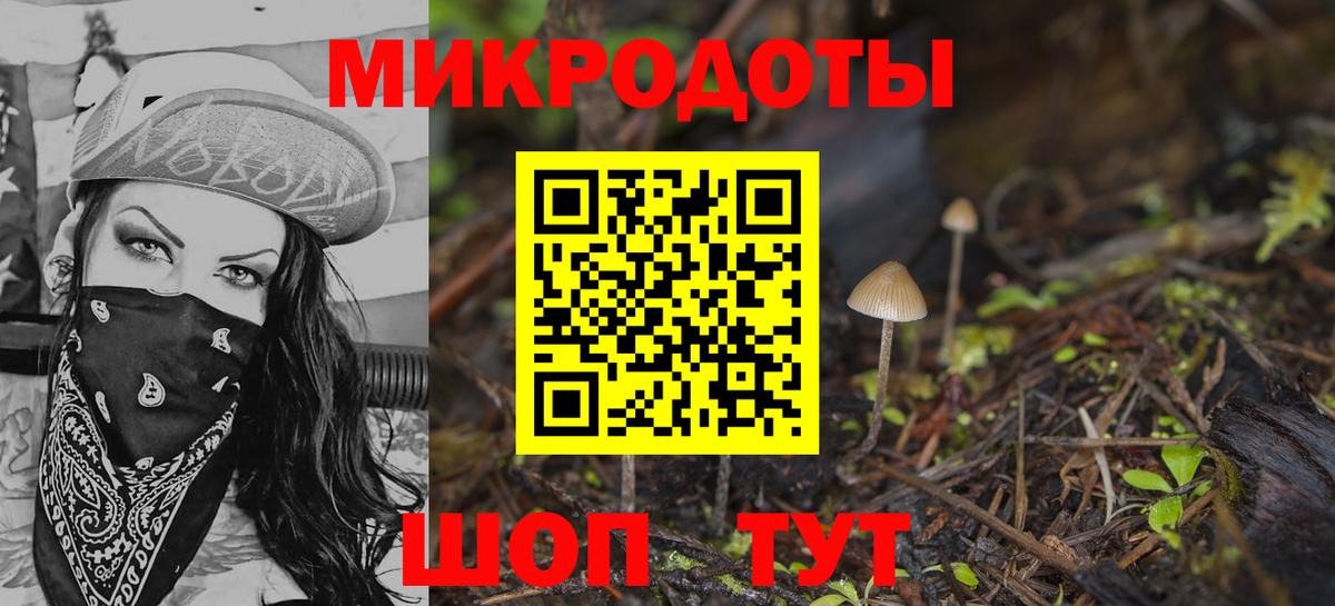 Псилоцибиновые грибы прущие грибы Клинцы