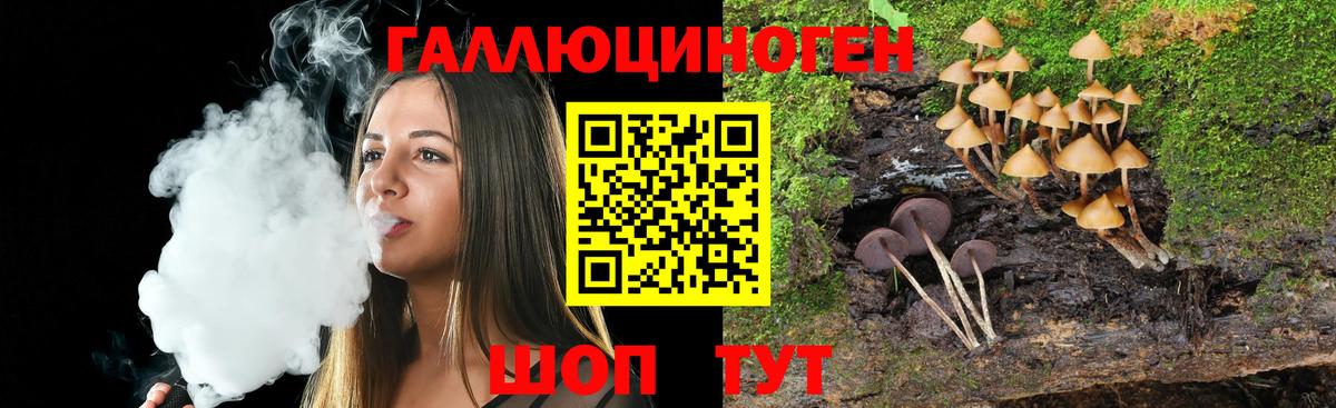 Клинцы  Галлюциногенные грибы Psilocybe  Вход с VPN 