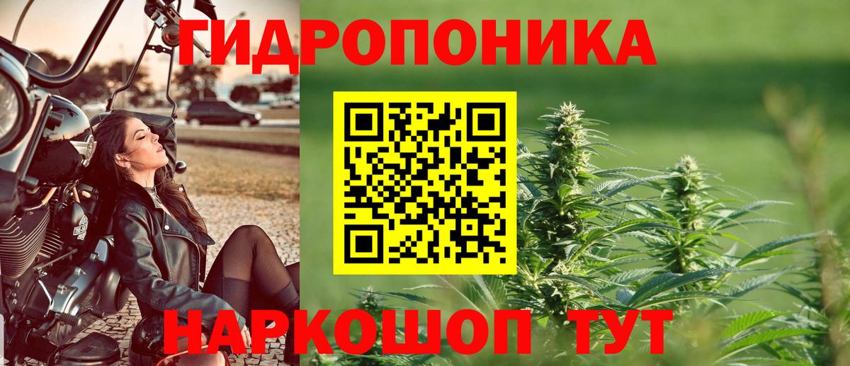 Каннабис марихуана  Каннабис план  Клинцы  Вход с VPN  Бошки Шишки MAZAR 